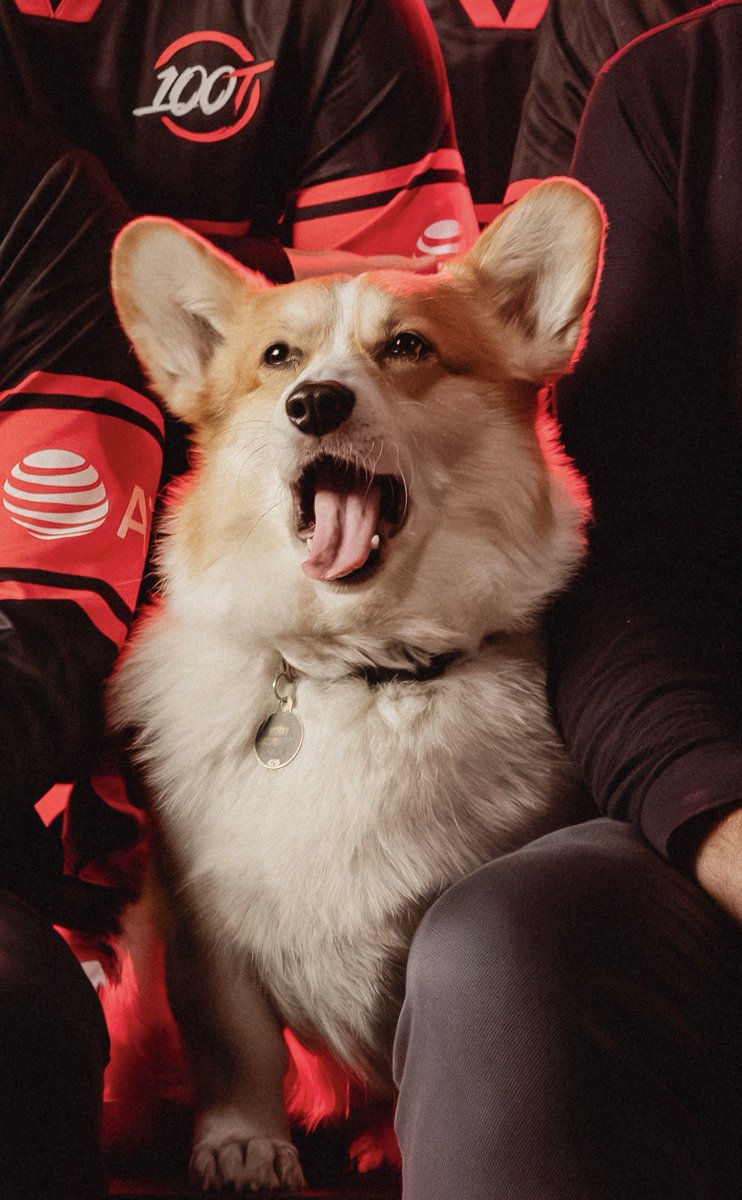 Ryan "Marti" | 100T tweet media