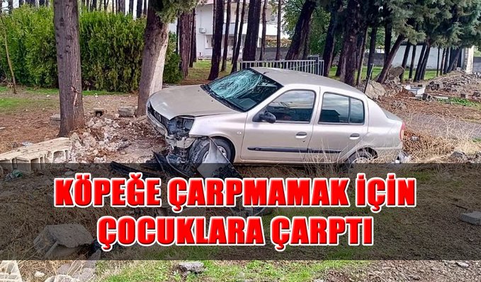 Tanrıkulu  tweet media