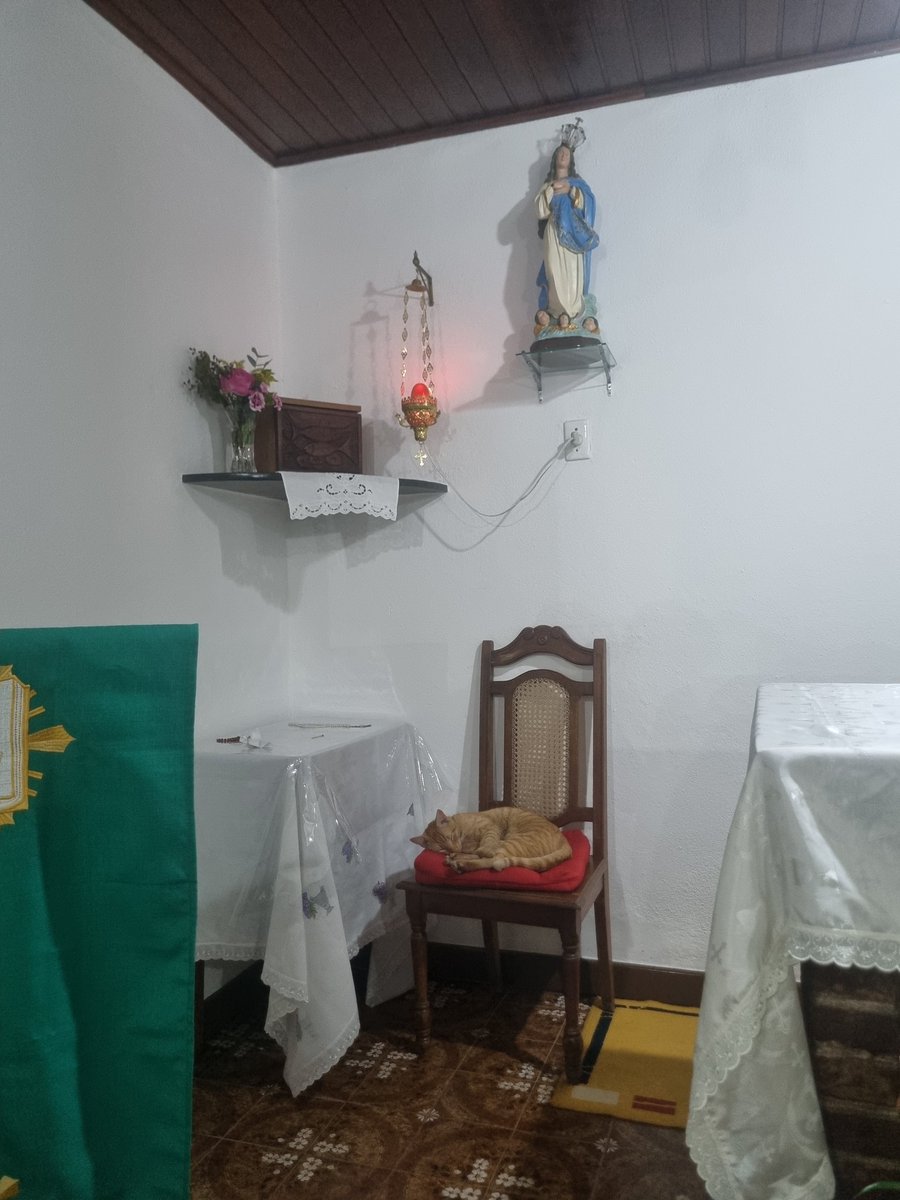 PaiCatólico 🇻🇦 tweet media