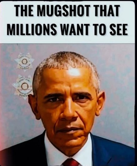 🌴🌞🇺🇸 Florida Mama🇺🇸🌞🌴 tweet media