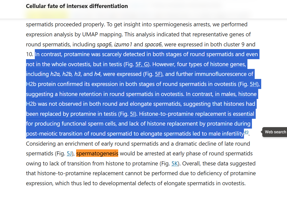 𝐓𝐫𝐚𝐧𝐬𝐈𝐧𝐭𝐞𝐫𝐩𝐡𝐨𝐛𝐢𝐚 tweet media