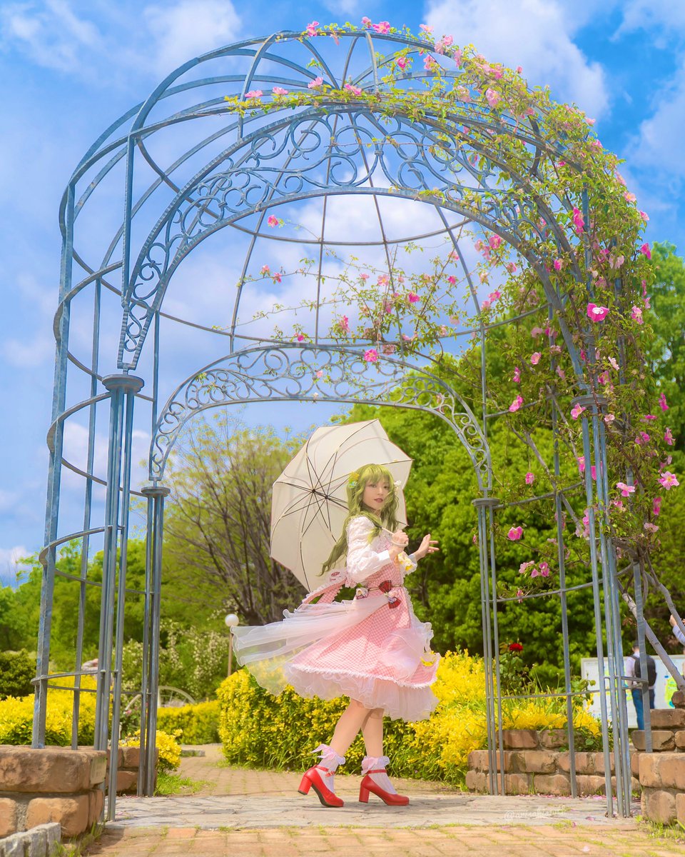 ZERO 0例大祭チア青幽香 tweet media