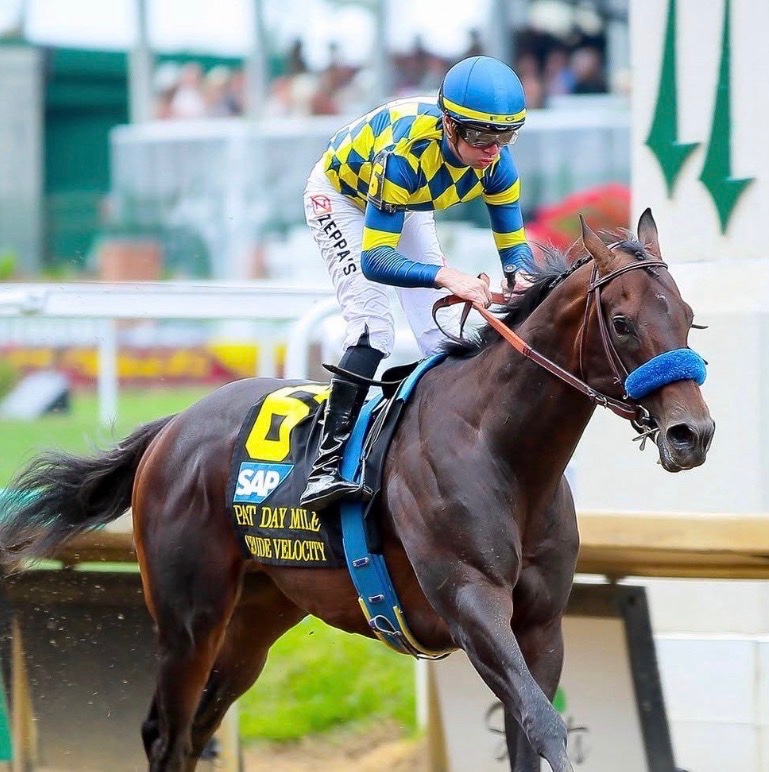 Save Horse Racing tweet media