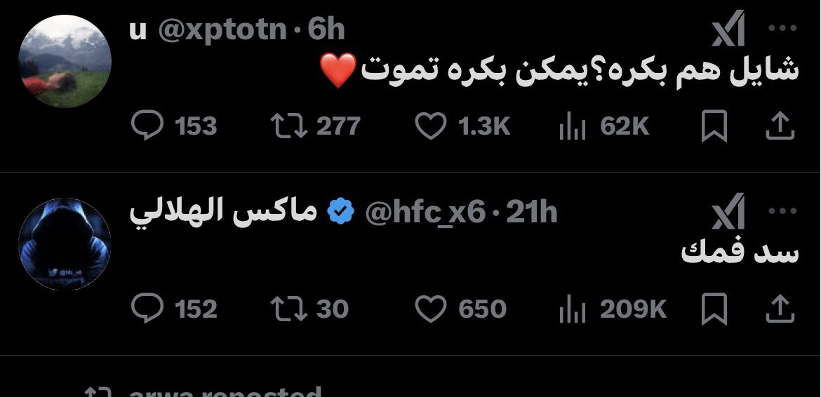 Dina tweet media