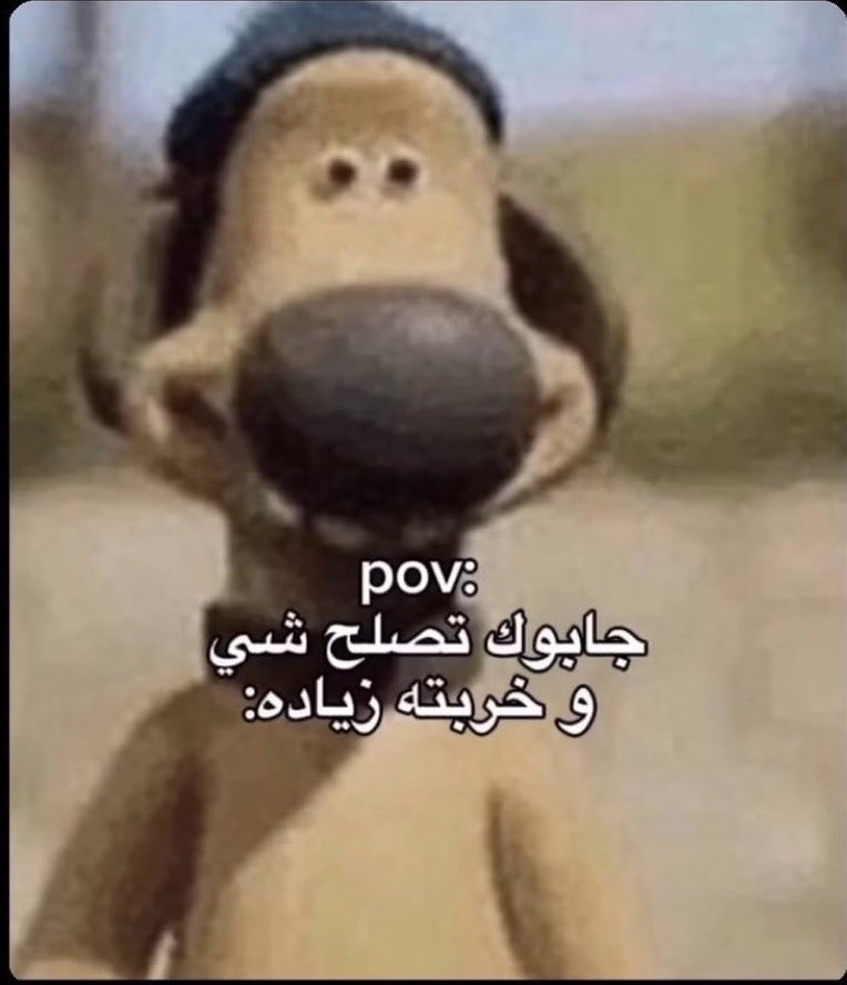يحيى 🇵🇹 tweet media