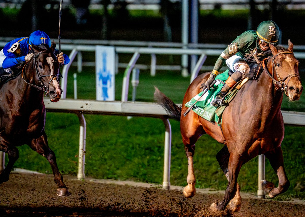 Fair Grounds Race Course & Slots tweet media