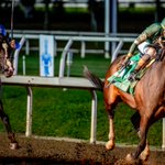 Photo by Fair Grounds Race Course & Slots (@fairgroundsnola)