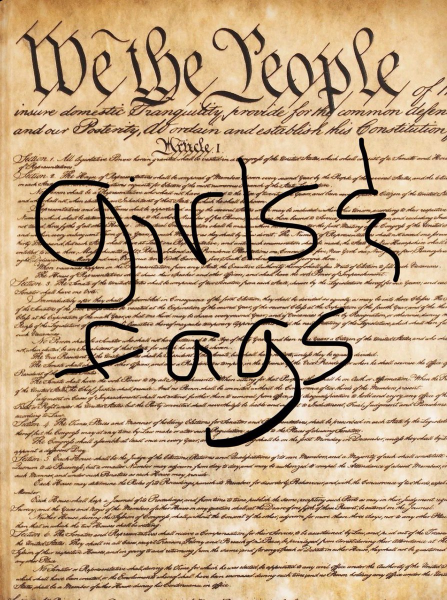 ExtensionCordz's tweet photo. The girls and gays constitution is a legitimate, tangible enitity. It is absolute and unforgiving. Going against it is insane. https://t.co/C1Vp0b4KLv