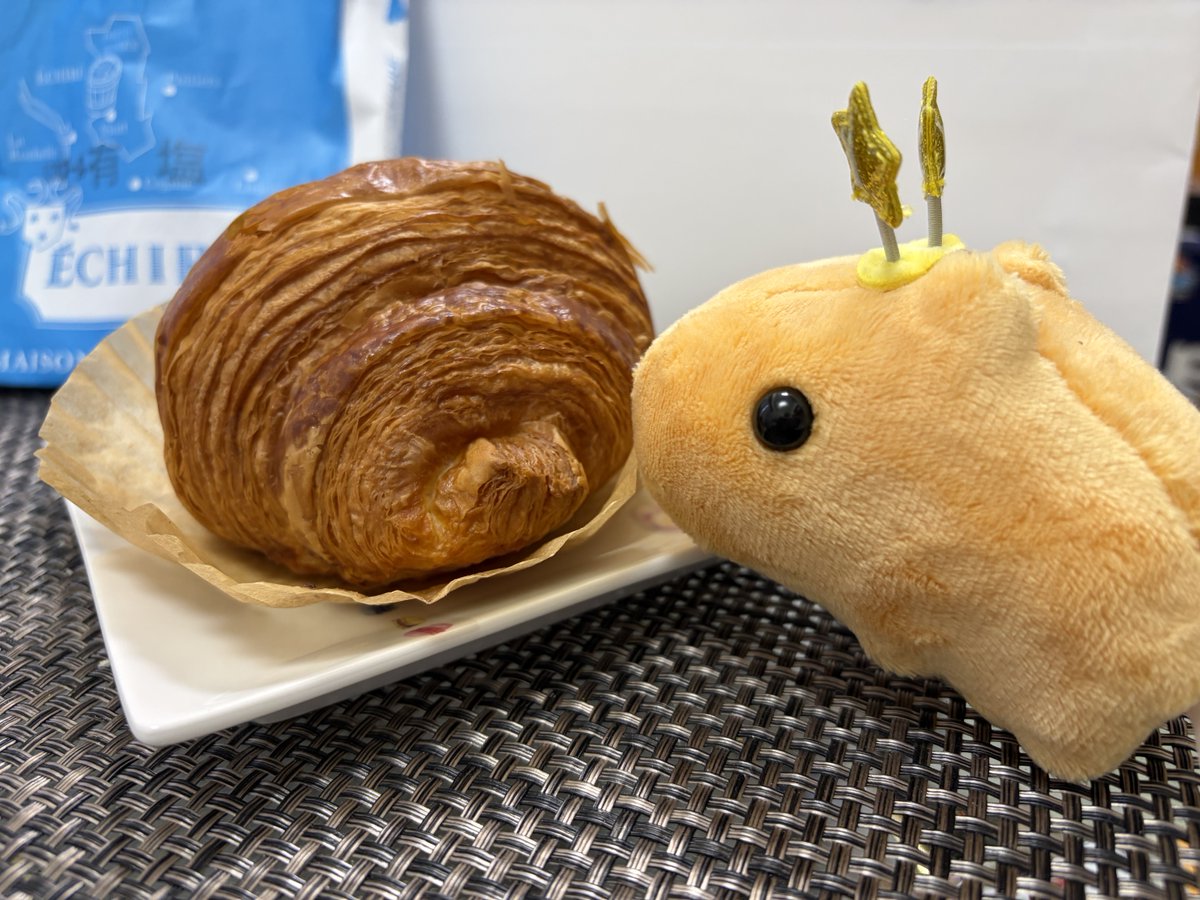 カピバラさん カピバラさん
