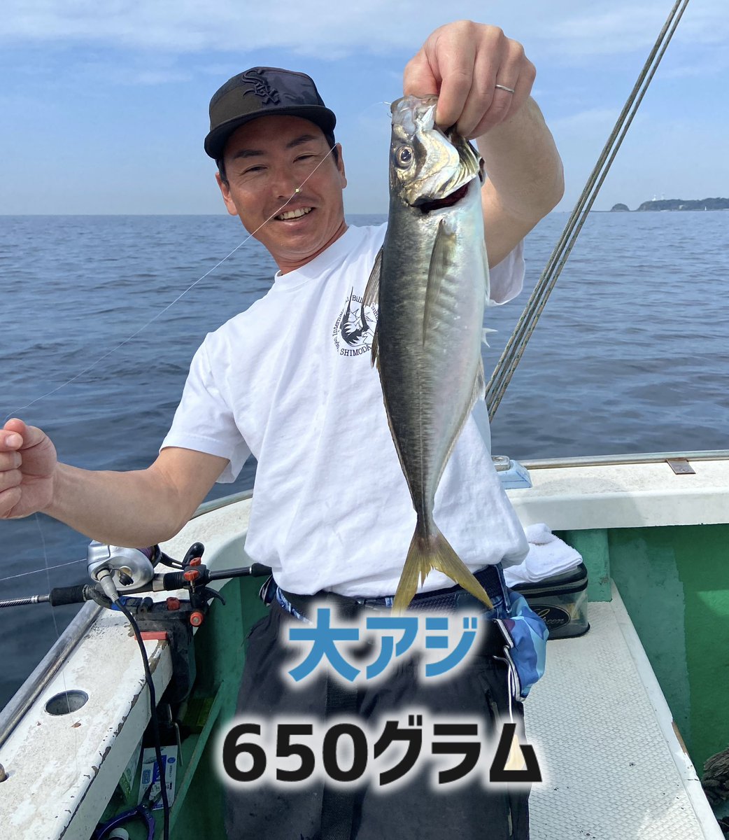 amasakeyamaru's tweet photo. 【アジ釣り】大型アジも釣れています！

#アジ https://t.co/B301iWY7ac