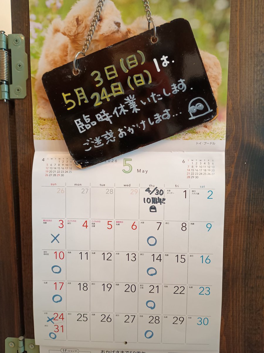 cafetsuchinoko's tweet photo. ［お知らせ］本日5/3(日)ツチノコはお休みとなります。ご不便おかけして申し訳ありませんが、また木曜日にお待ちしております。

※お祝いのお言葉やお花など、ありがとうございました🙇 https://t.co/3ND1yQpINp