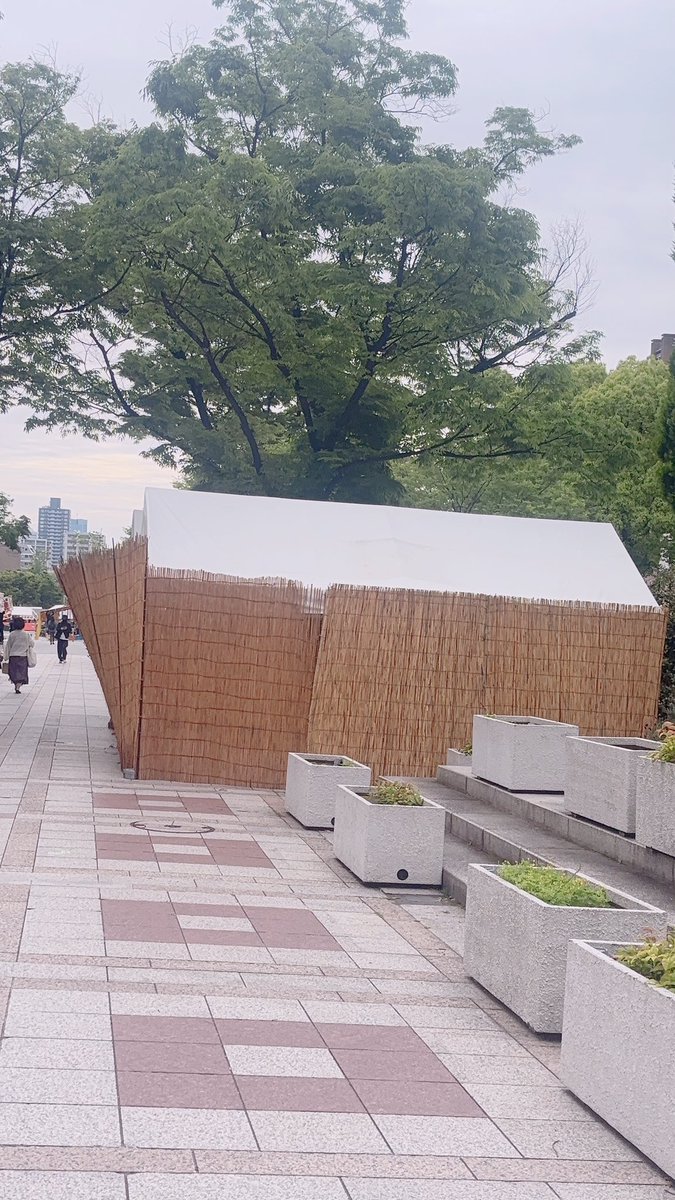琴鈴 tweet media