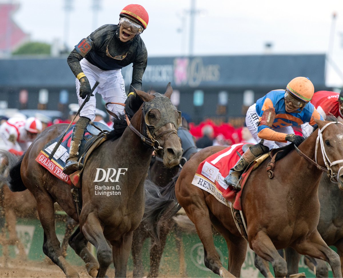 Daily Racing Form tweet media