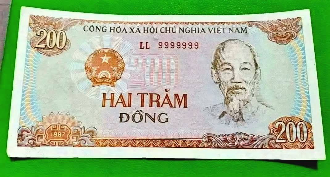 Trịnh Hĩu tweet media