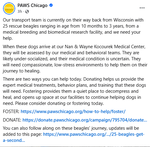 BJG (aka Beagle owner) tweet media