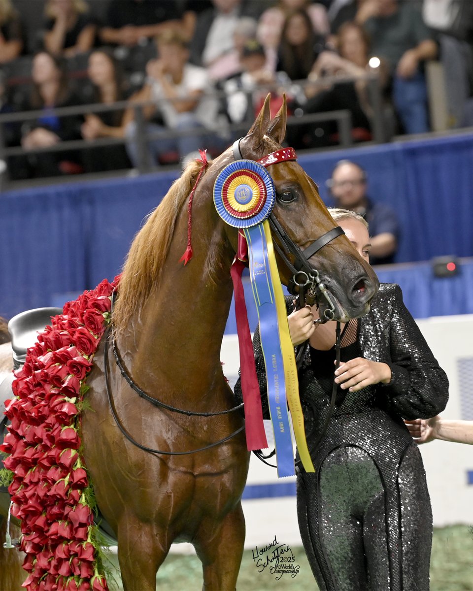 kystatefair's tweet photo. Louisville does garlands of roses twice a year 🌹

Happy Derby Day, Kentucky. We'll see you in August at the World Championship Horse Show ♥️ https://t.co/tgVNUeUG3S