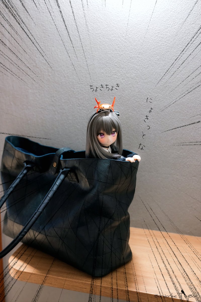 ボーダー tweet media
