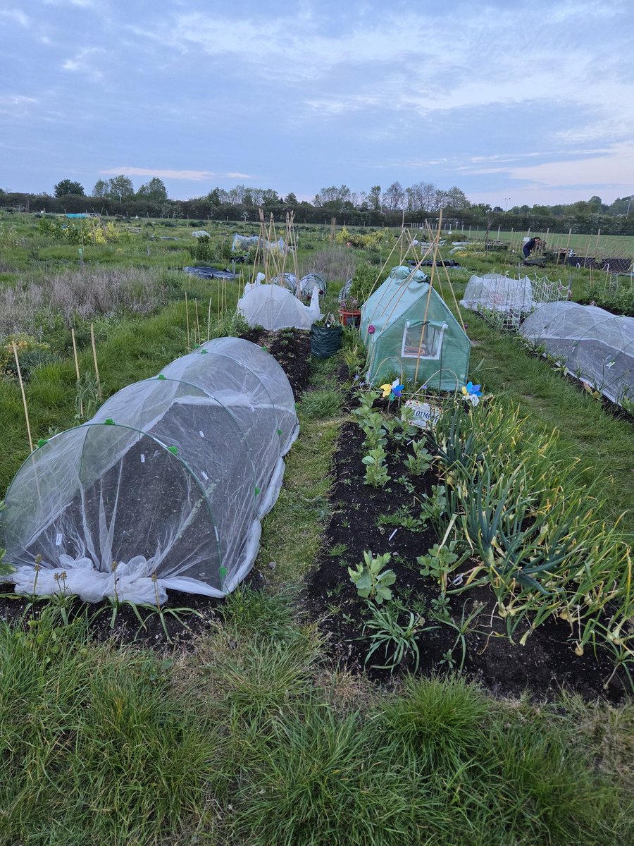 RuddAllotment's tweet image. Heartbroken that after 3 years, Ruddington Allotment is facing eviction by @RootsAllotments Despite high standards &amp;amp; 20yrs experience, corporate policy is put before disability access. If we go, our brand goes with us. A sad day for local growers #DisabilityRights @MichaelPayneUK