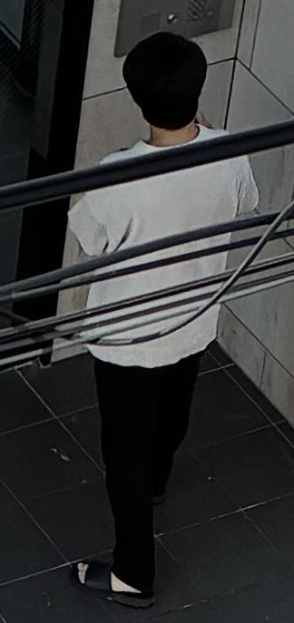 熊本の自然を守りたい人 tweet media