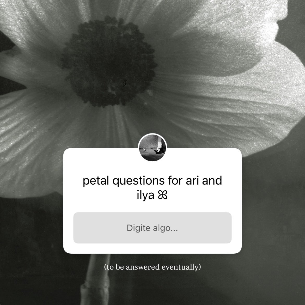 Info Ariana tweet media