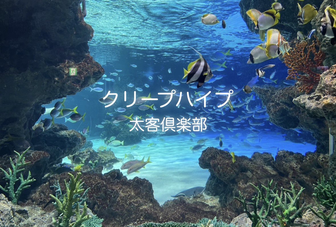 Aメロにもならない人生 tweet media