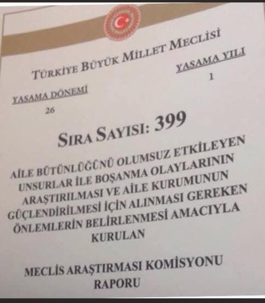 BİRSEL #AileyiKorumakVatanıKorumaktır 🇹🇷🇵🇸 tweet media