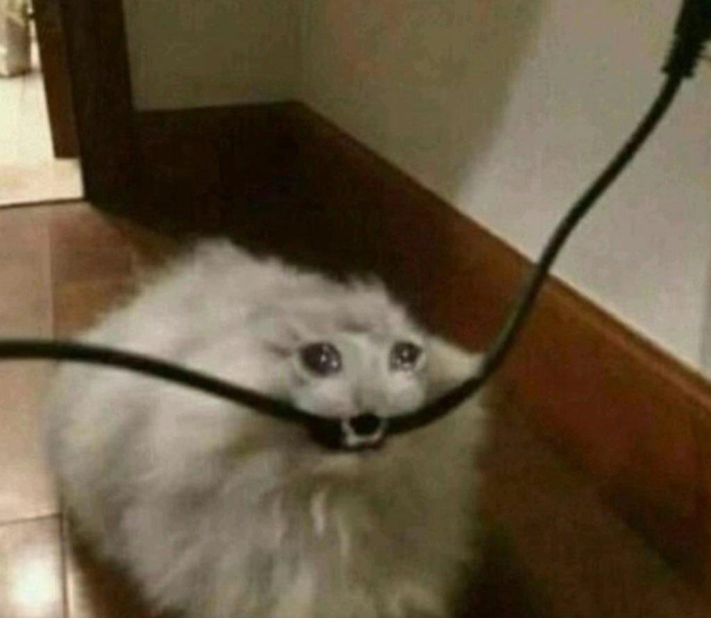 ⋆˙⟡ꨄ ʀɛɛ tweet media