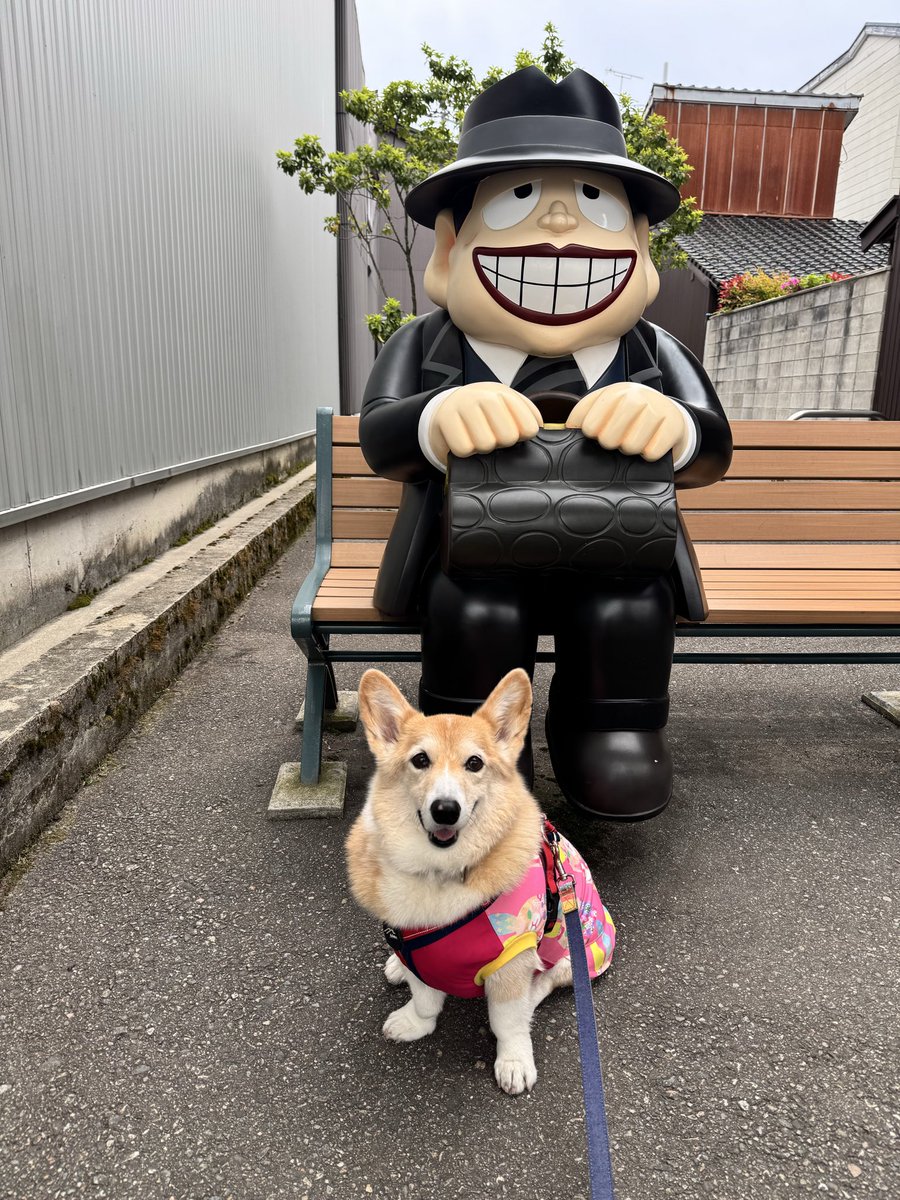 ばんこ tweet media