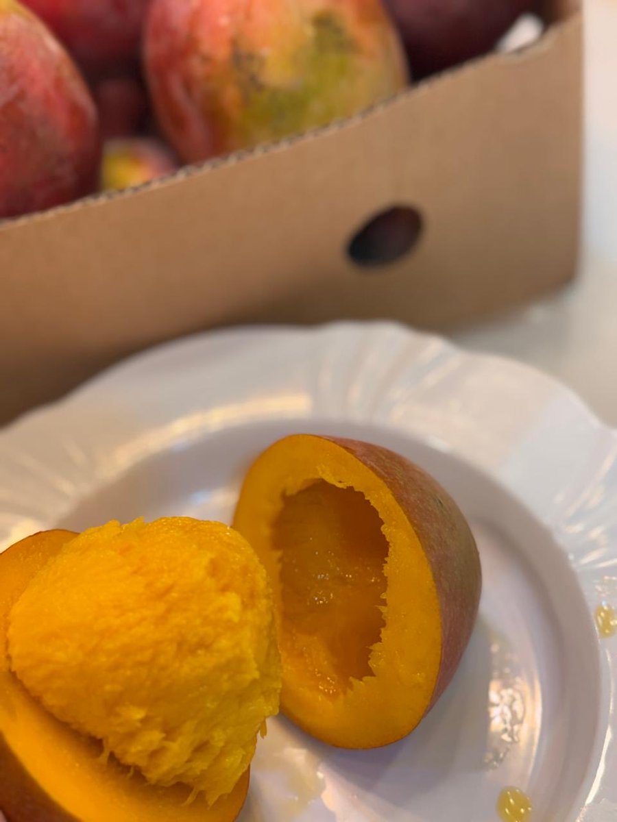 msawyk69322's tweet image. تقيم احد العملاء للمانجو 😍🥭

من الشجرة الى باب بيتك 

للطلب 0551337297

#مانجو #منقه #mango