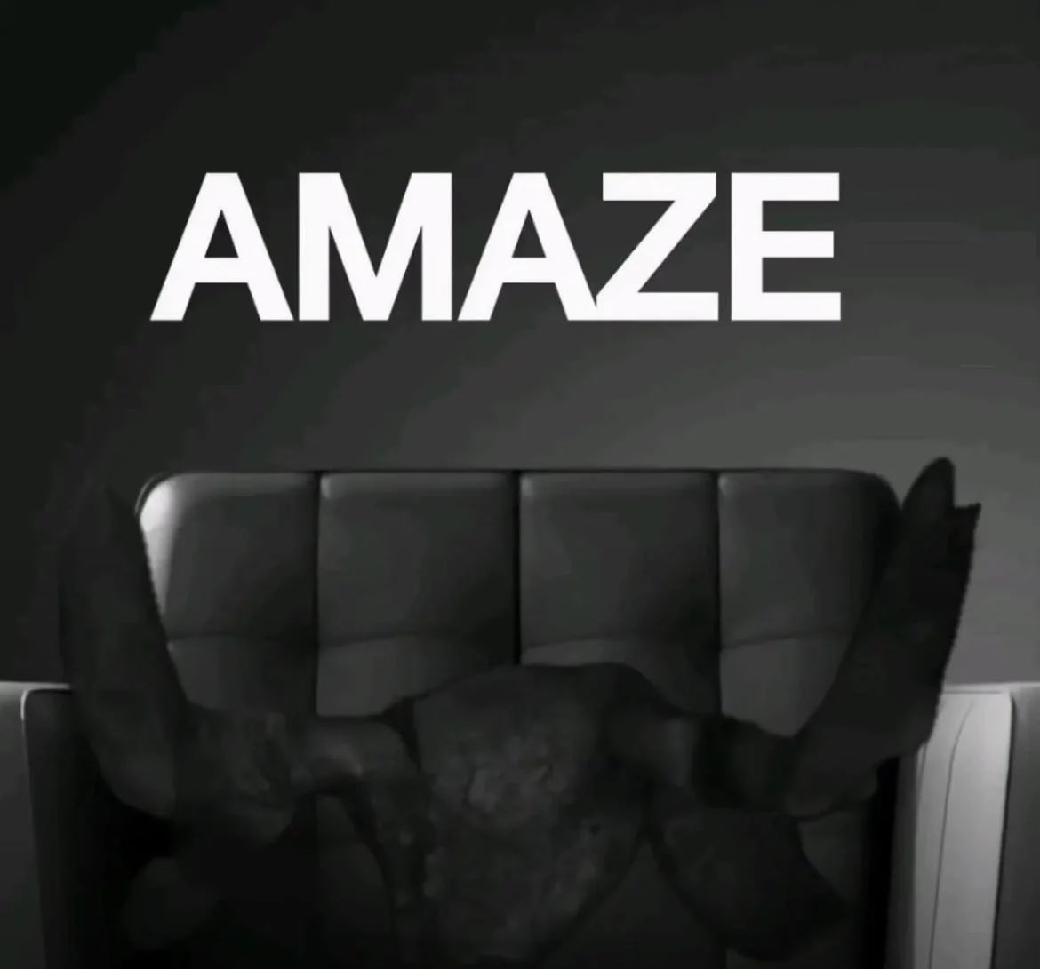fizzie/dizzie tweet media