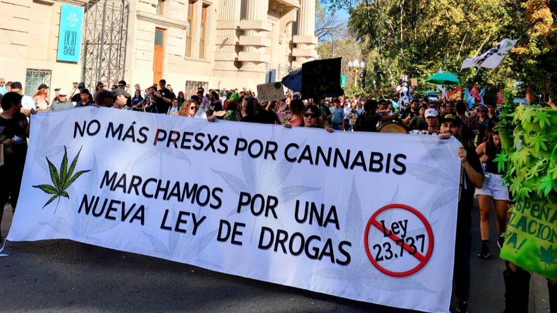 bigbamboogrow's tweet photo. Nos plantamos para que no haya más presos por plantar!! https://t.co/NqYxziOxv3