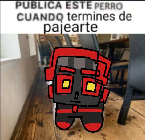 Faglix (culo roto) tweet media