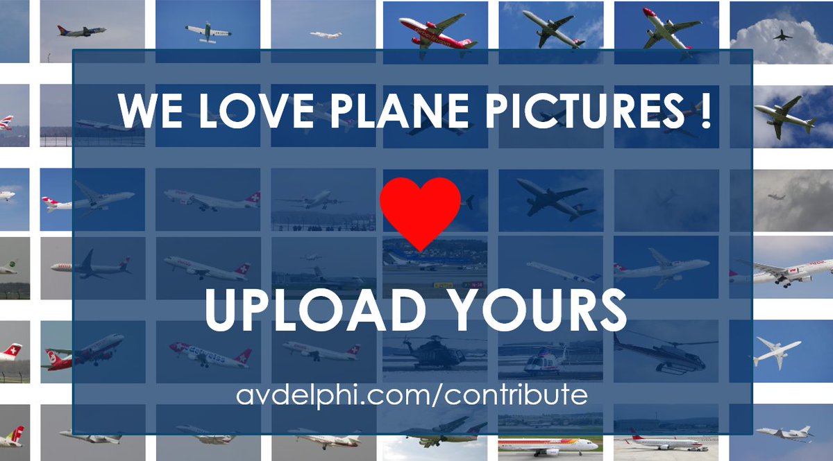 avdelphi tweet picture