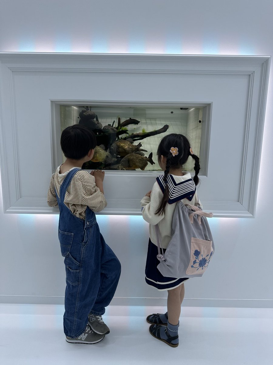 まゆじゃーのん tweet media