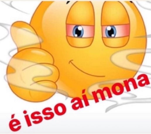 bárbarinha tweet media