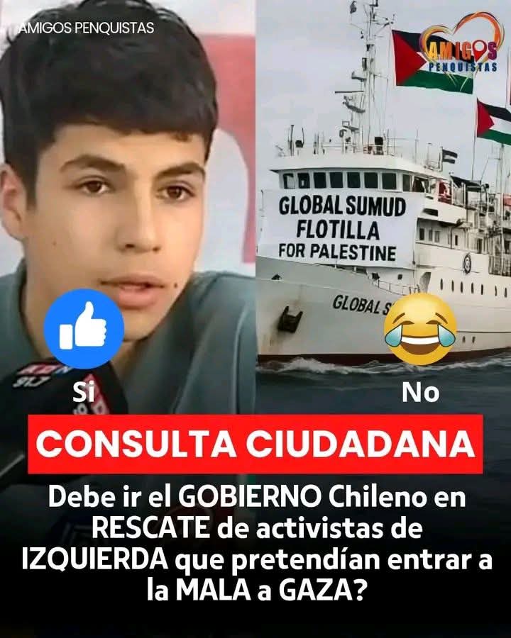 Amalia 🇨🇱🇨🇱 tweet media