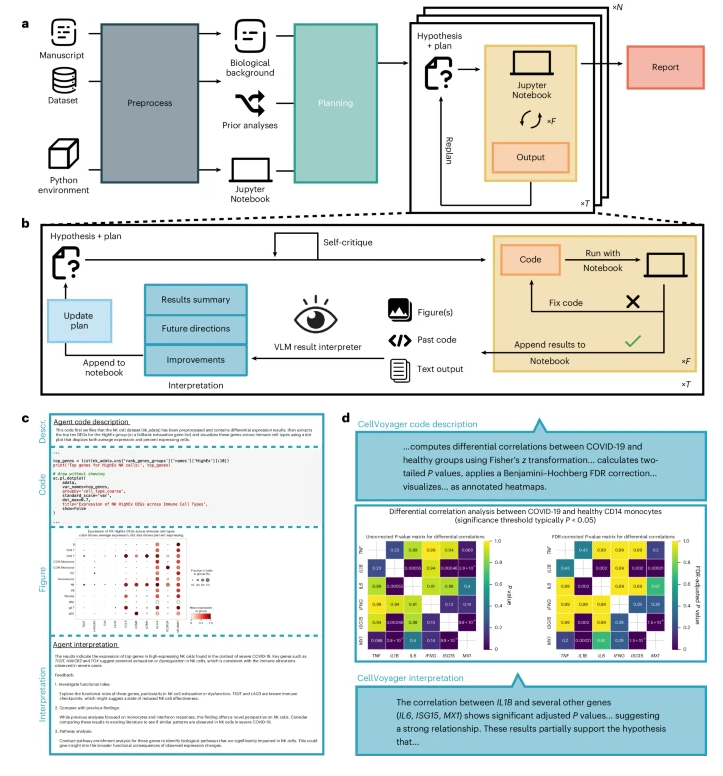 @BioAI_Neuro tweet media