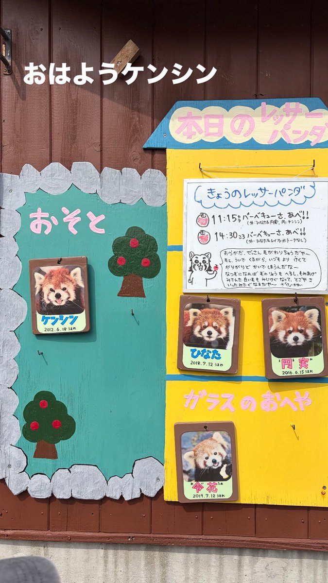 火星佳代（レッサーパンダｽｷｰ） tweet media
