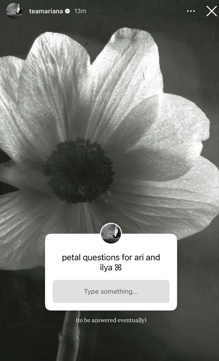 ໊ tweet media