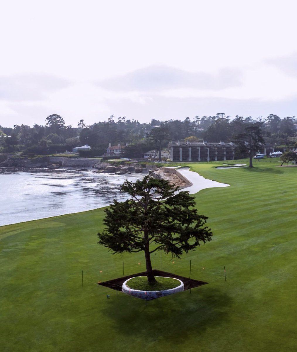 Caddie Network tweet media