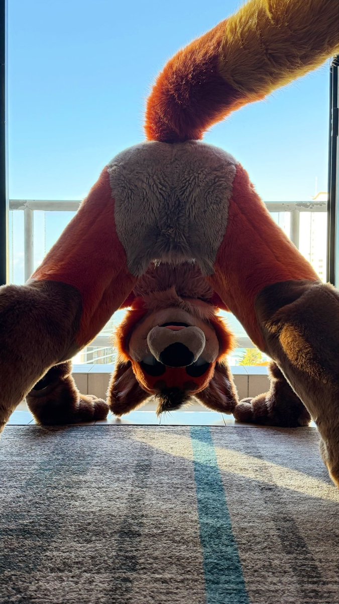 OneHotFox tweet media