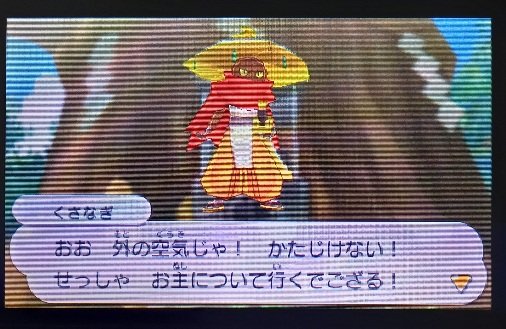 🫸ぶんまわし羅針盤🫷 tweet media