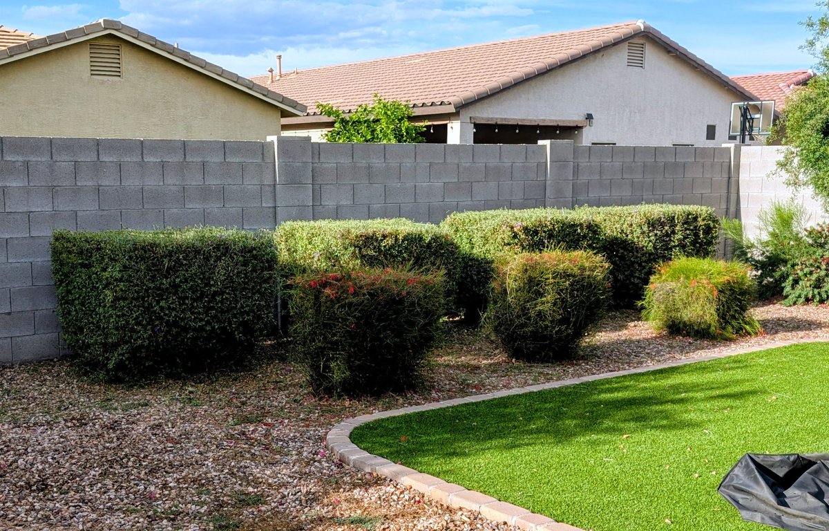 VegaRbn1's tweet image. Before and after 
#backyard #garden