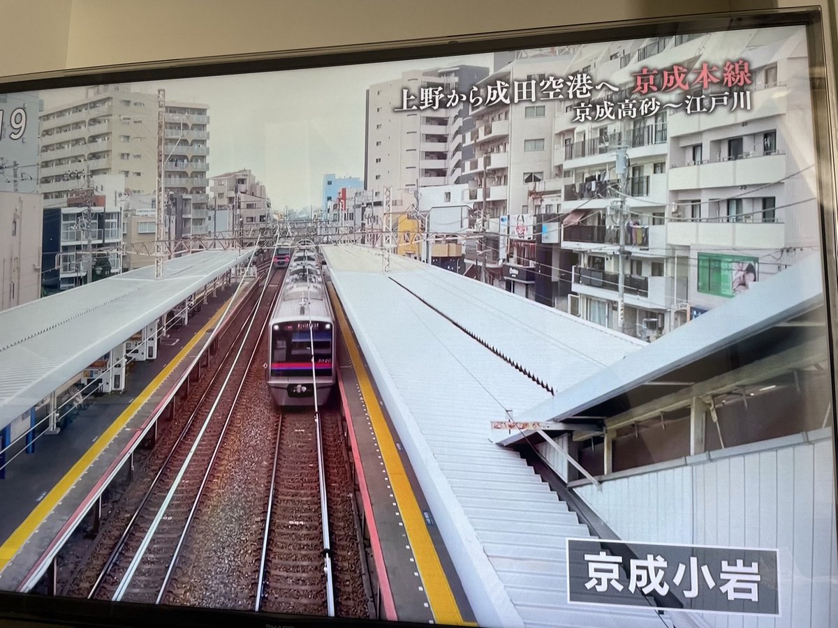 もりのののん tweet media