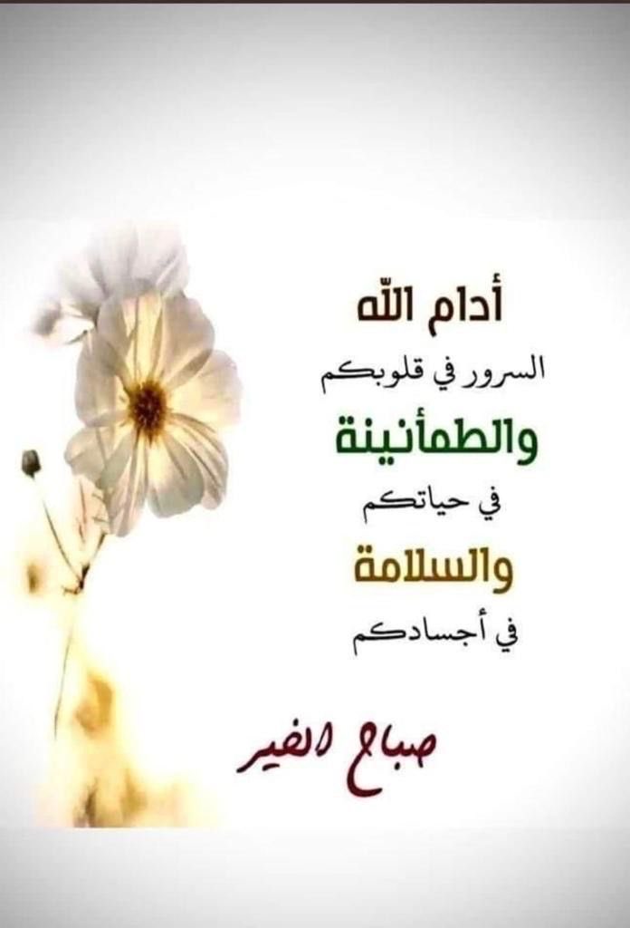 m.m.j .Ghl.ابو اليث tweet media