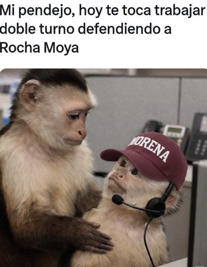 alejandrohcontrera tweet media