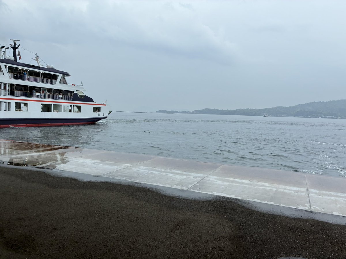 旅の楓 tweet media