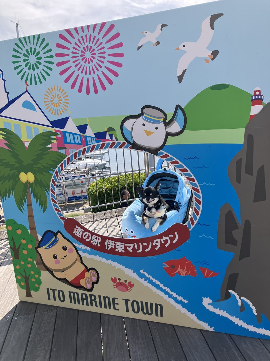 sixtythousand's tweet photo. 伊東マリンタウンに来ました
足湯は10時からなんだ
楽しみだワン🐶 https://t.co/tkTqOlpIHK