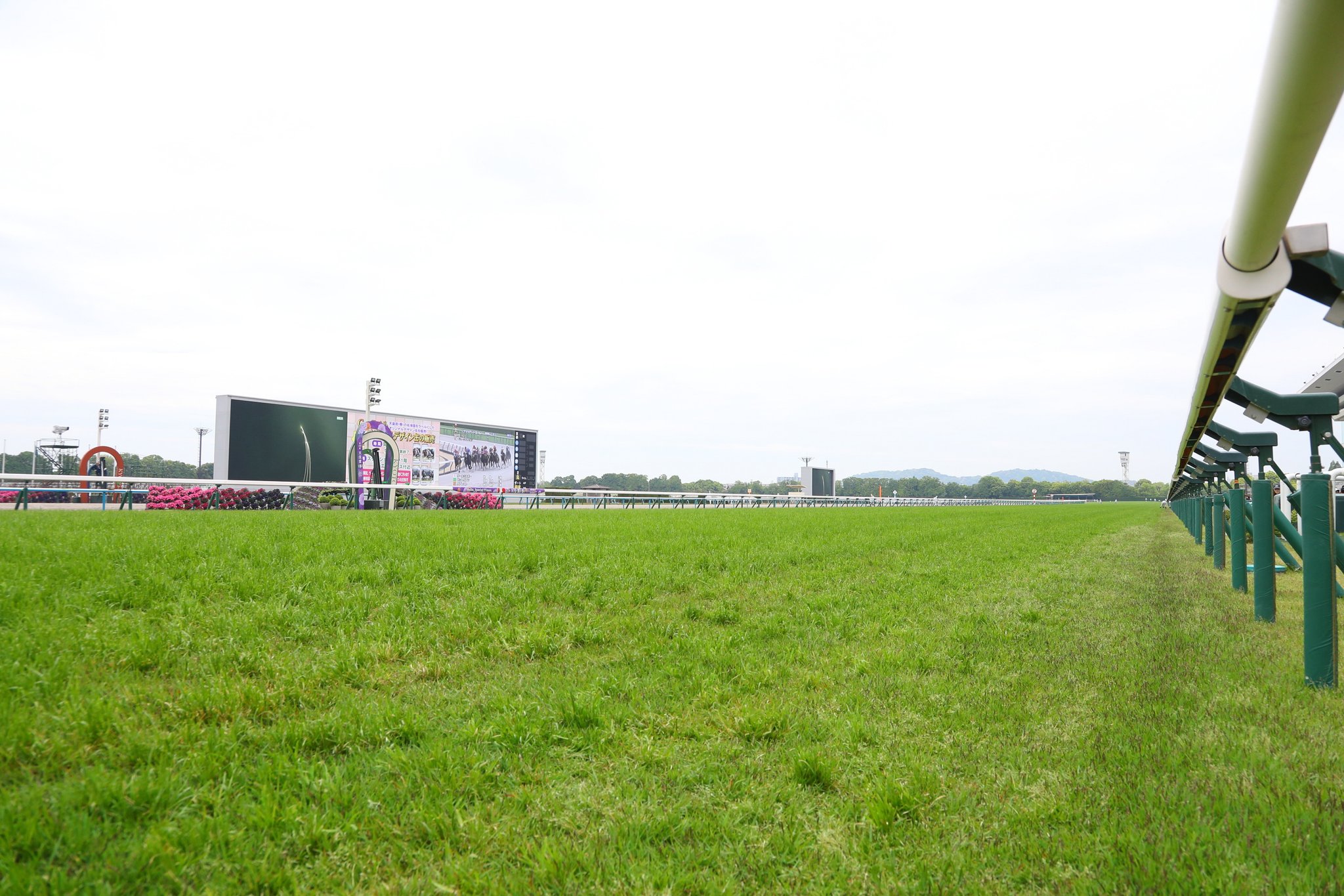 京都 競馬 場 天気 予報