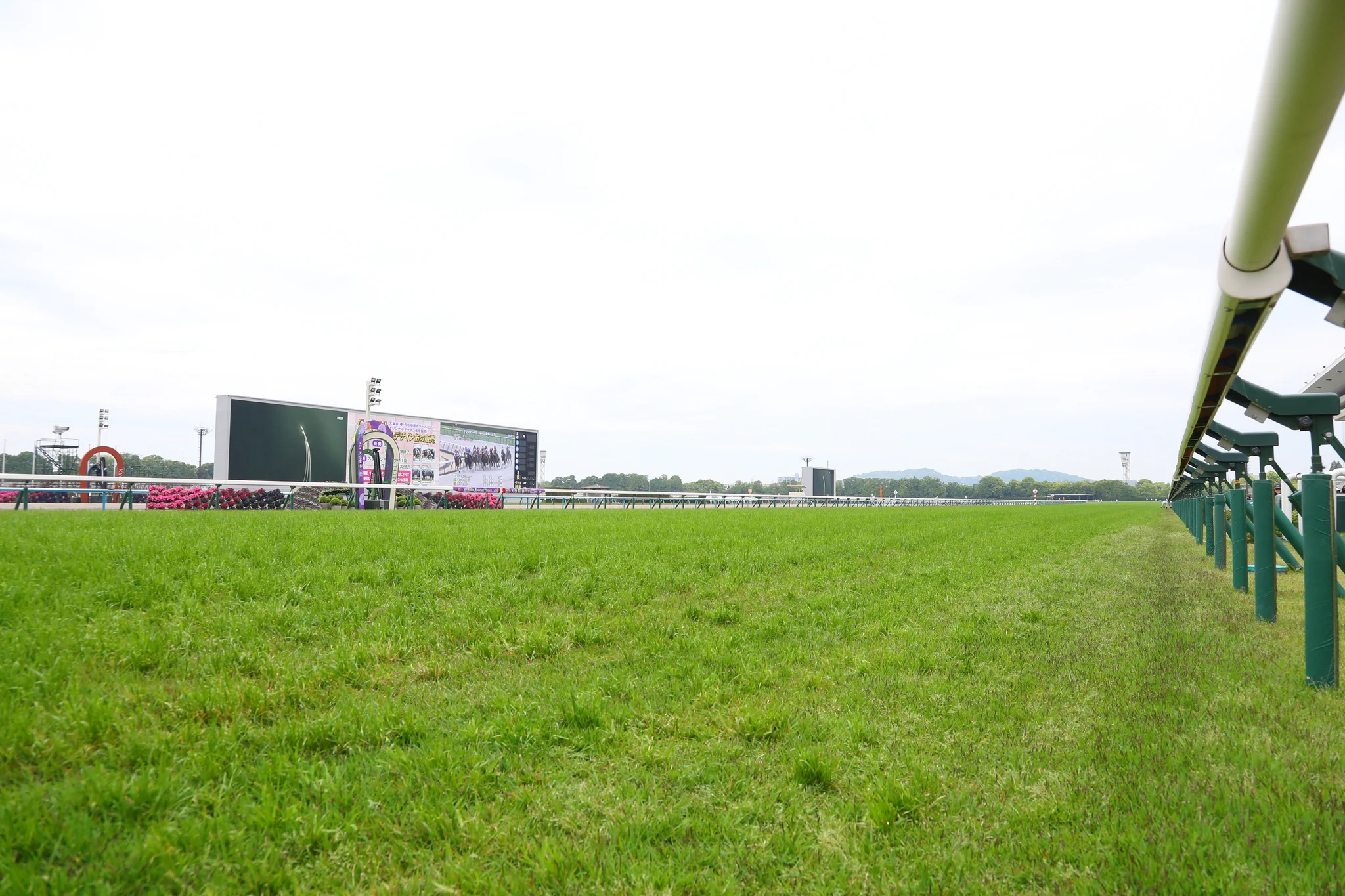 JRA-VAN公式 on X: 